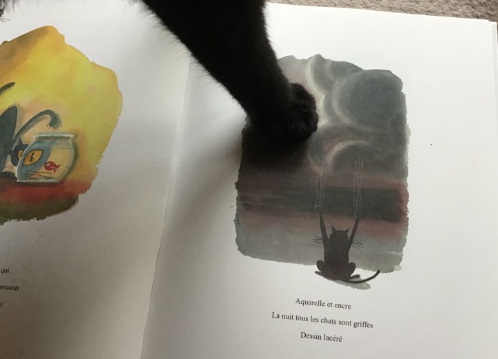 06F29495-74AE-4157-BFCF-27BC4991B9B2